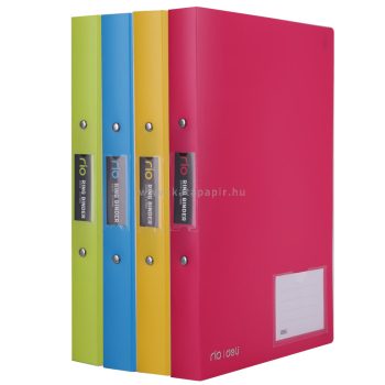   Gyűrűskönyv, 2 gyűrű, 25 mm, PP, A4, DELI "rio", vegyes szín