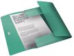 Gumis mappa, 15 mm, PP, A4, ESSELTE "Colour' Ice", zöld