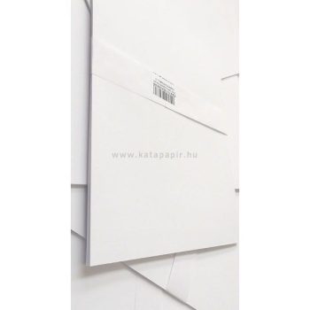 Famentes rajzlap (DIPA RAJZKARTON) A/4 10 ÍV/CSOM.