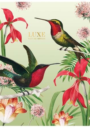 Füzet, tűzött, kockás, A4, 40 lap, SHKOLYARYK "Luxe Nature", vegyes