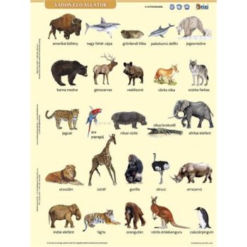   Tanulói munkalap, A4, STIEFEL" Vadon élő állatok"